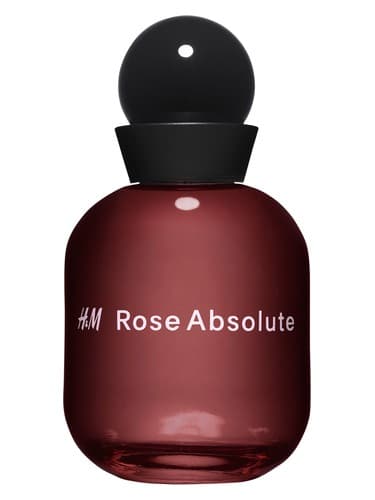 H M Rose Absolute