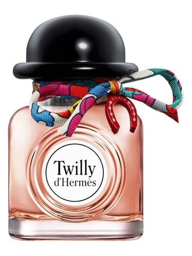 Charming Twilly D Hermes