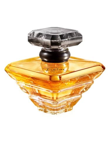 Tresor En Or