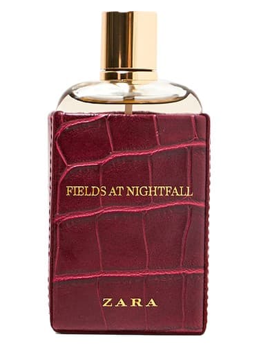 Fields At Nightfall