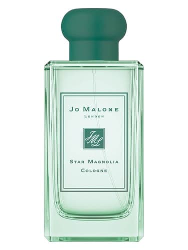 Star Magnolia Cologne 2019