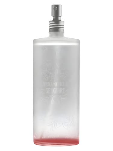 Cardamomo Gengibre