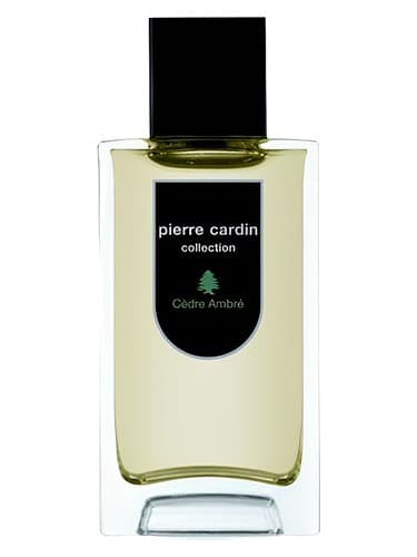 Pierre Cardin Collection Cedre Ambre