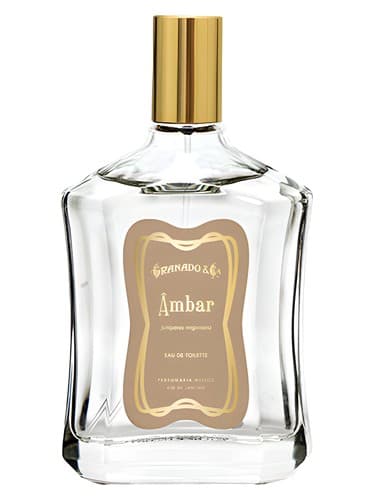 Ambar