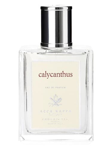 Calycanthus