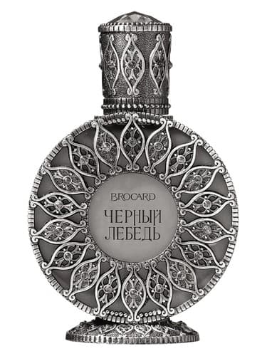 Black Swan Cernyj Lebed
