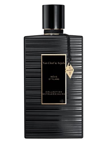 Reve D Ylang
