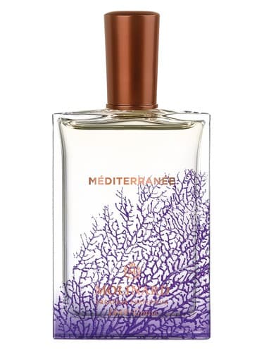 Mediterranee