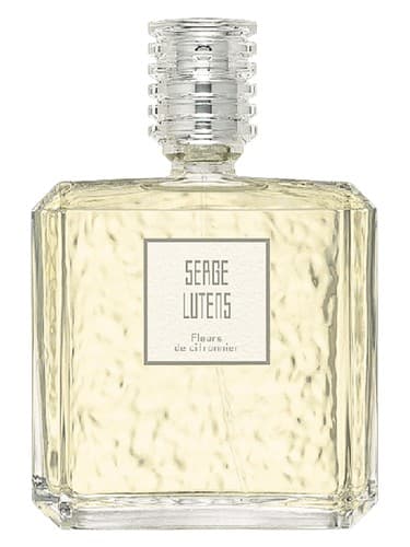 Fleurs De Citronnier