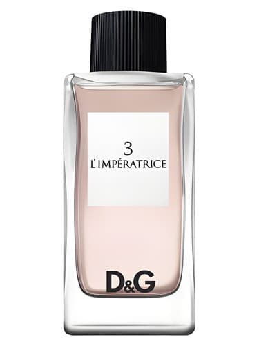 D G Anthology L Imperatrice 3