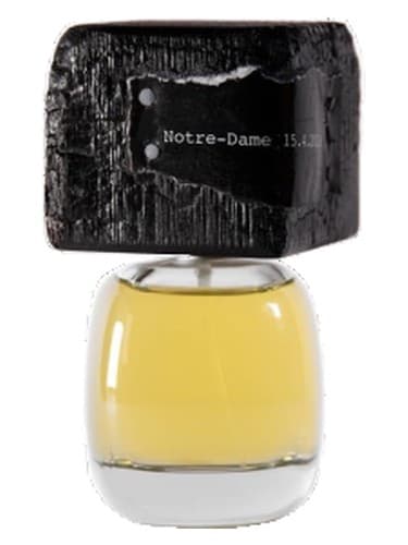 Notre Dame 15 4 2019