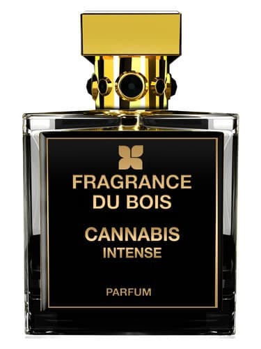 Cannabis Intense