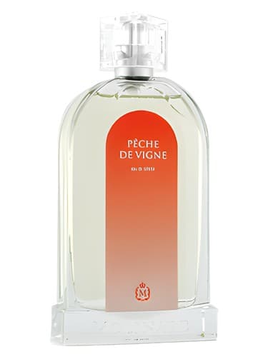 Peche De Vigne
