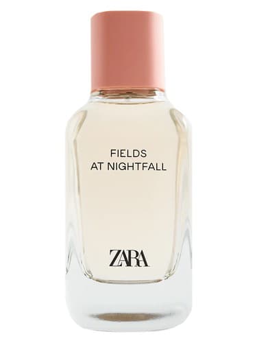 Fields At Nightfall