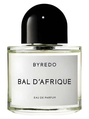 Bal D Afrique