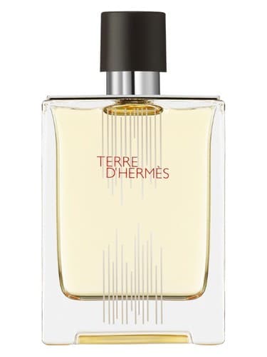 Terre D Hermes Flacon H 2021 Eau De Toilette