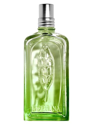 Verveine Cactus