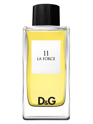 D G Anthology La Force 11