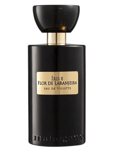 Iris E Flor De Laranjeira