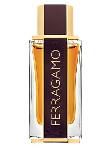 Ferragamo Spicy Leather