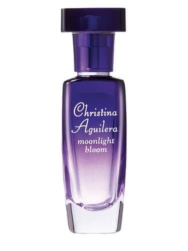 Moonlight Bloom