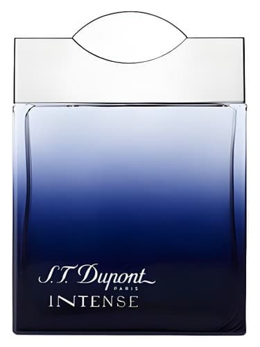 S T Dupont Intense Pour Homme