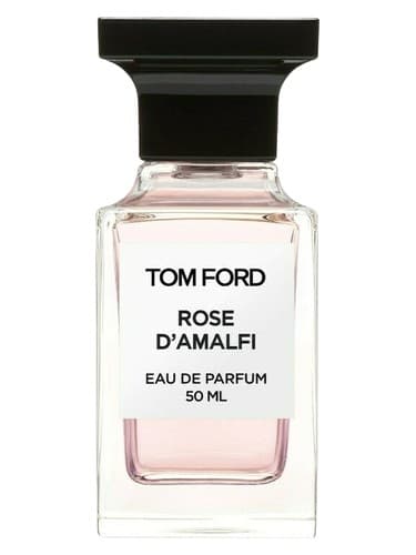 Rose D Amalfi