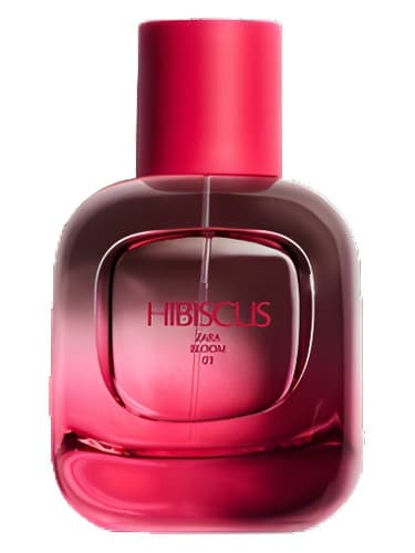 Hibiscus