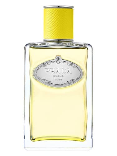 Infusion D Ylang