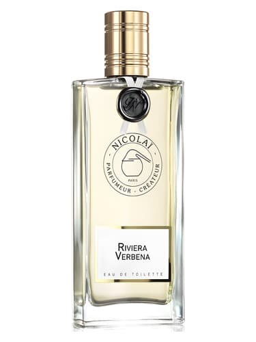 Riviera Verbena