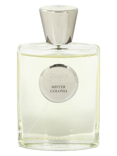 Mister Colonia