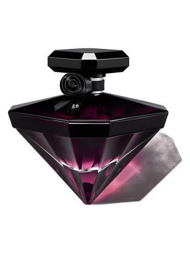 La Nuit Tresor Fleur De Nuit