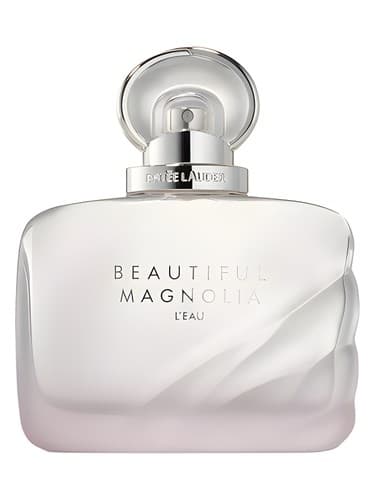 Beautiful Magnolia L Eau