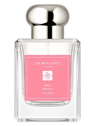 Red Roses Cologne 2023