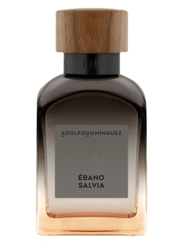 Ebano Salvia