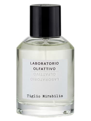 Tiglio Mirabilis