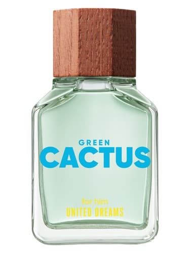 United Dreams Green Cactus For Him