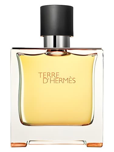 Terre D Hermes Parfum
