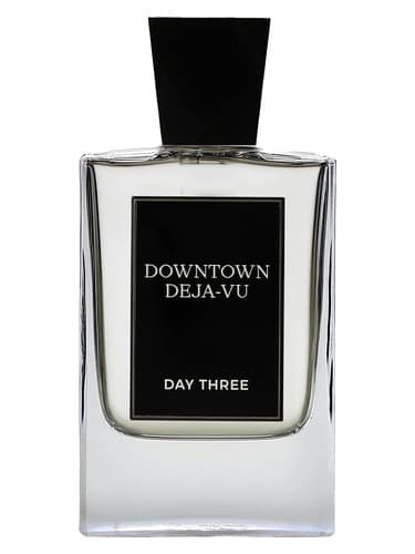 Downtown Deja Vu