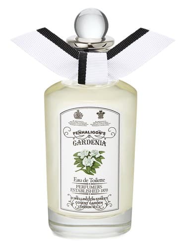 Gardenia