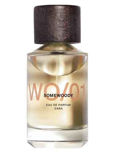 Wo 01 Somewoody