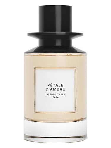 Petale D Ambre