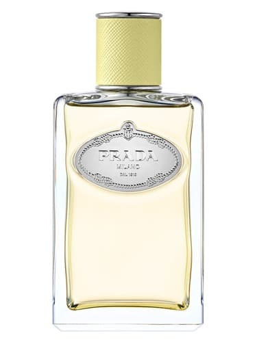 Infusion De Gingembre