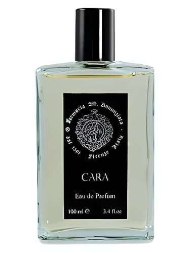 Cara
